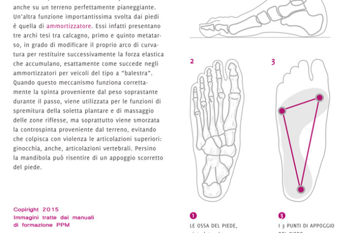 manuale-formazione-ppm-academy-appoggio-piede