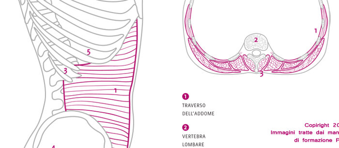 manuale-formazione-ppm-academy-core-pilates